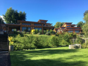 Отель Cabañas El Roble Lican Ray  Вильяррика